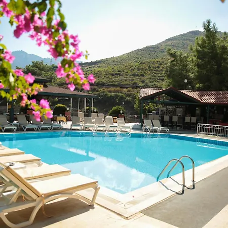 Life 3*